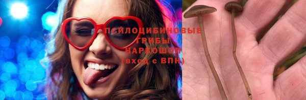героин Алексин