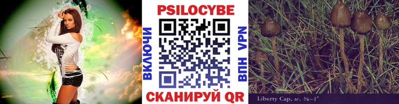 KRAKEN ссылка  где купить наркоту  Черемхово  Псилоцибиновые грибы MAGIC MUSHROOMS 