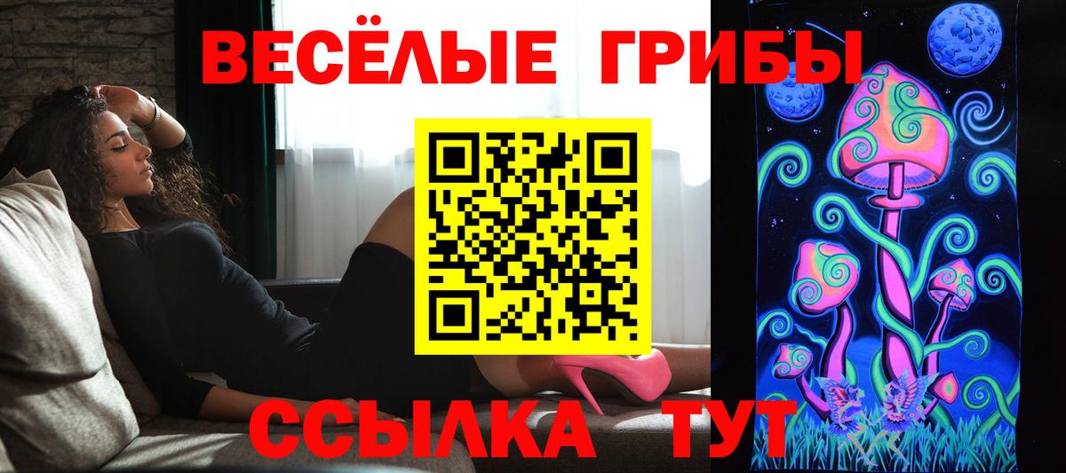 Черемхово  Галлюциногенные грибы ЛСД  Вход с VPN  Псилоцибиновые грибы прущие грибы 