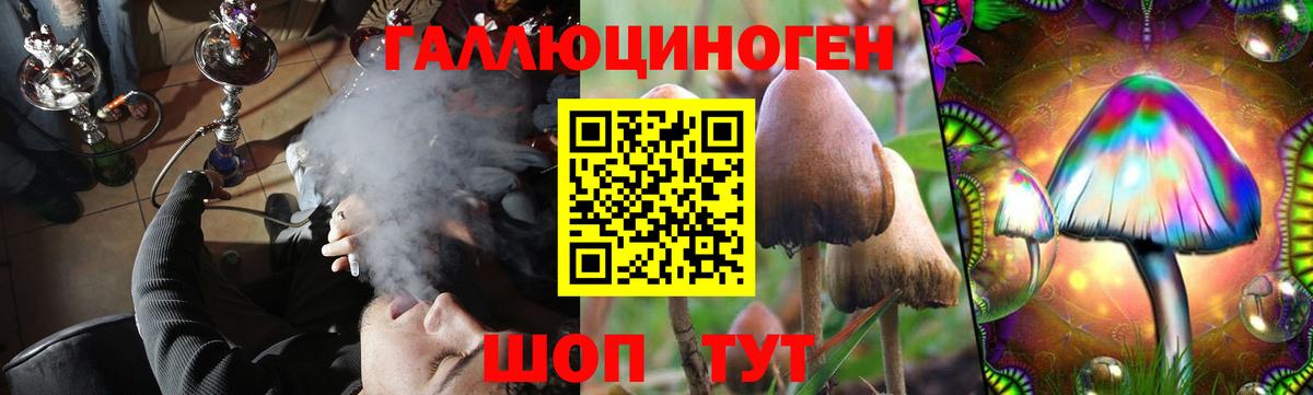 Галлюциногенные грибы прущие грибы Черемхово